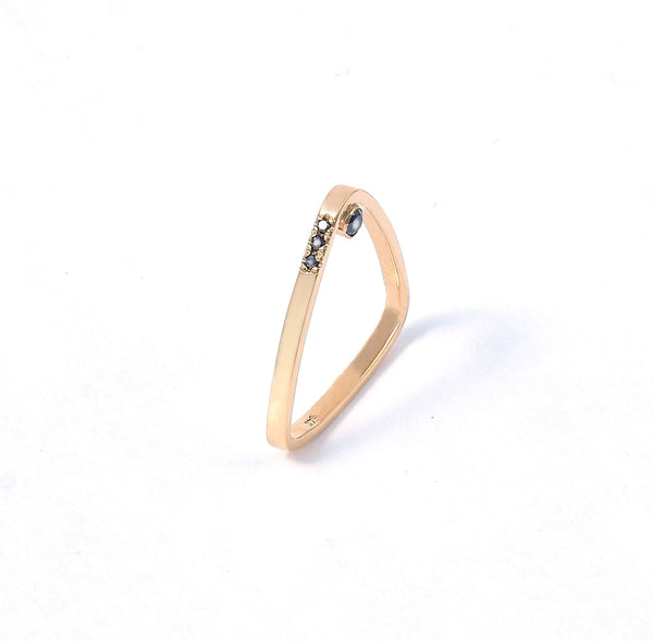 Anillo de Oro Templo de la Buena Voluntad
