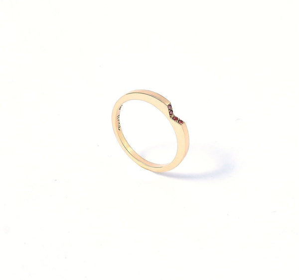 Anillo de Oro con Diamantes Museo Nacional Honestino Guimarães.
